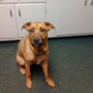 Meet your Posher, Sky